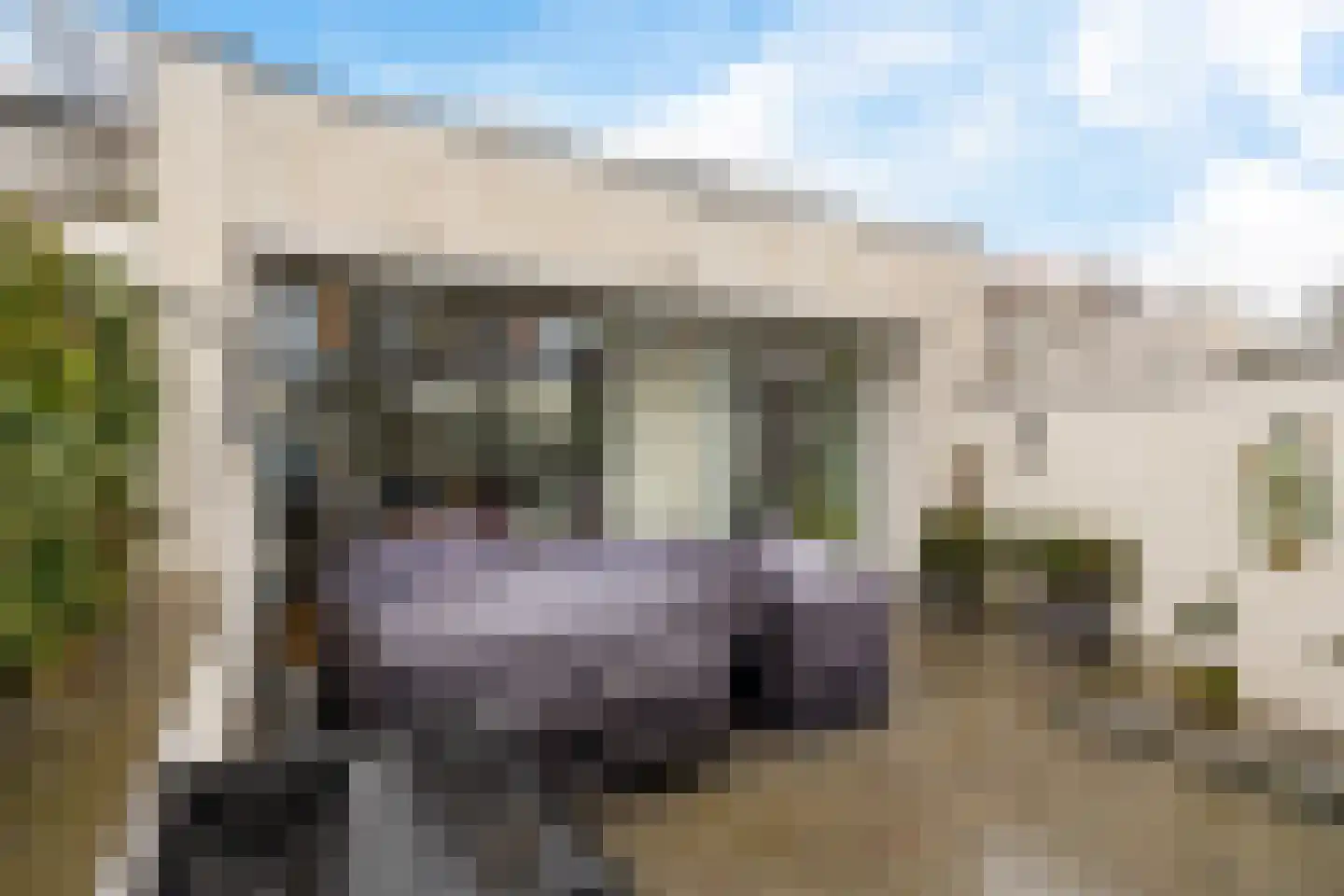 Bosfazant 17 Eindhoven thumbnail 35