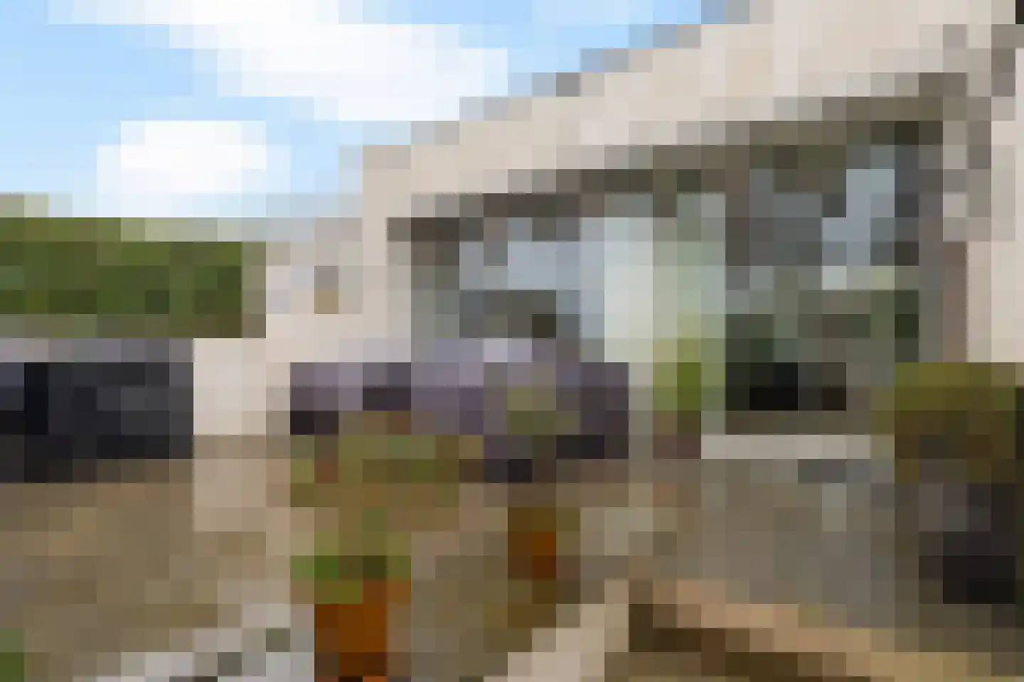 Bosfazant 17 Eindhoven thumbnail 36