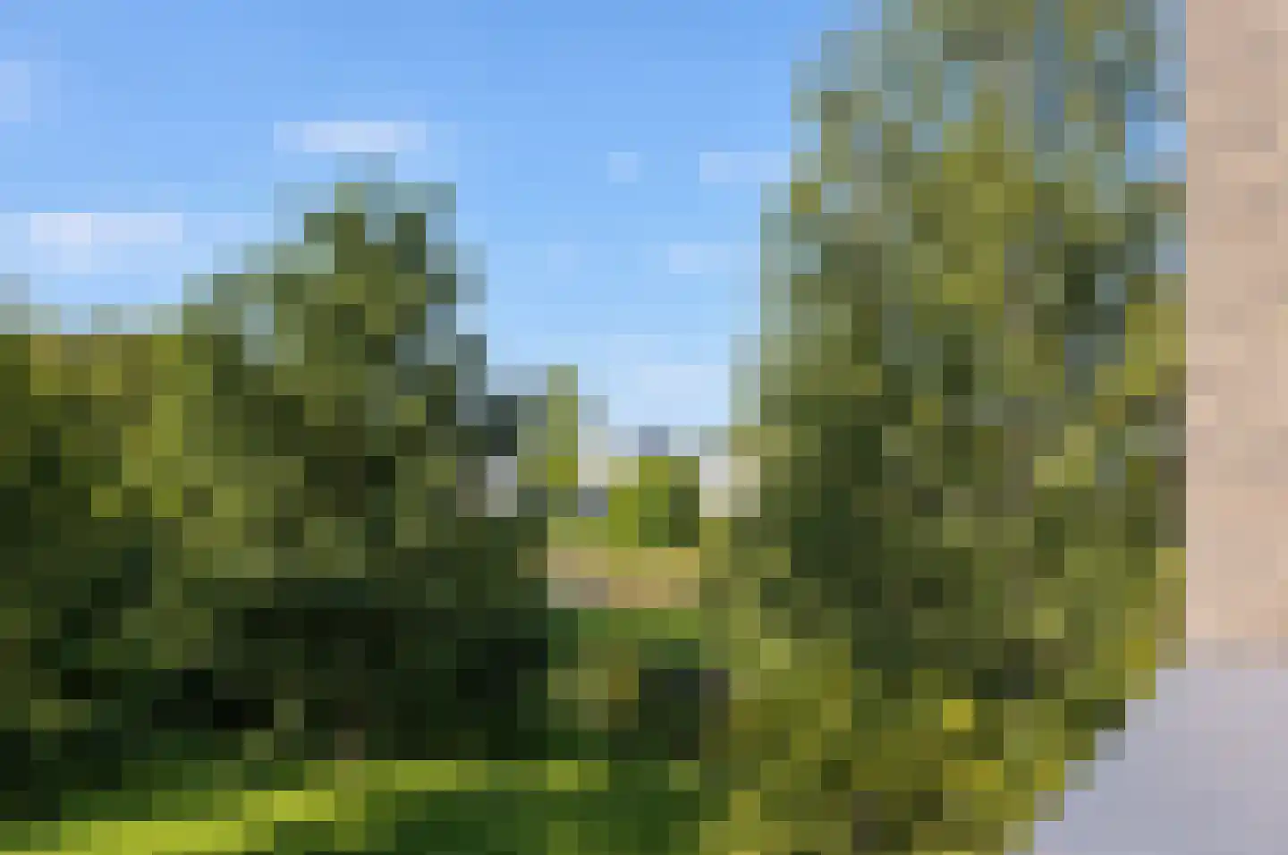 Bosfazant 18 Eindhoven thumbnail 12