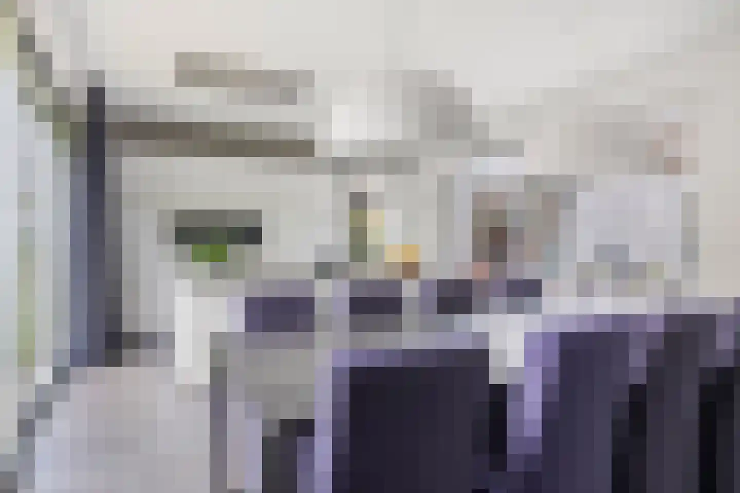 Bosfazant 18 Eindhoven thumbnail 13