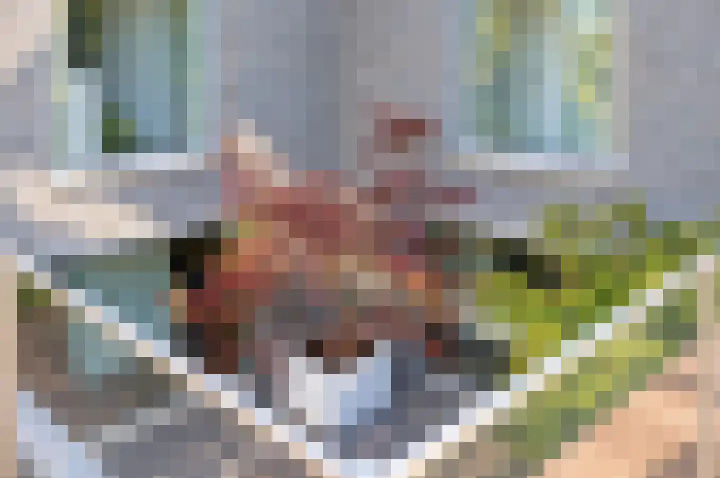 Bosfazant 18 Eindhoven thumbnail 13