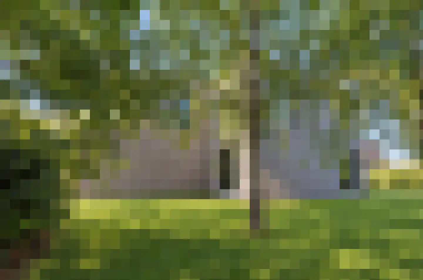 Bosfazant 18 Eindhoven thumbnail 16