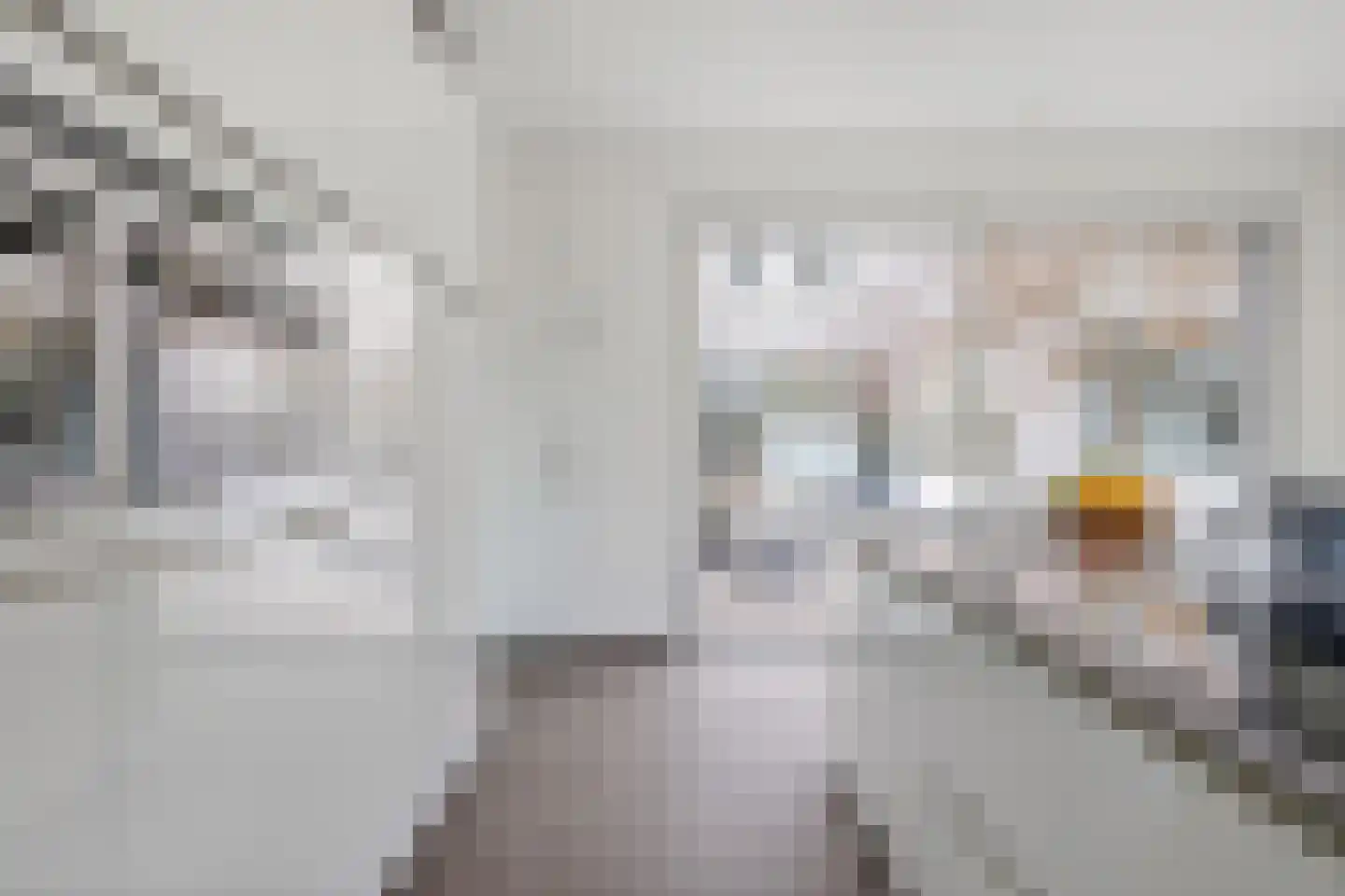 Bosfazant 18 Eindhoven thumbnail 17