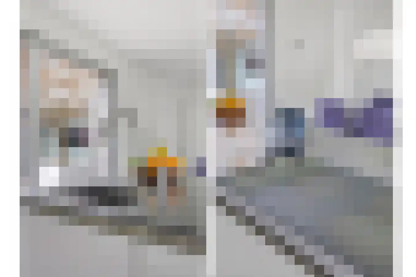 Bosfazant 18 Eindhoven thumbnail 18