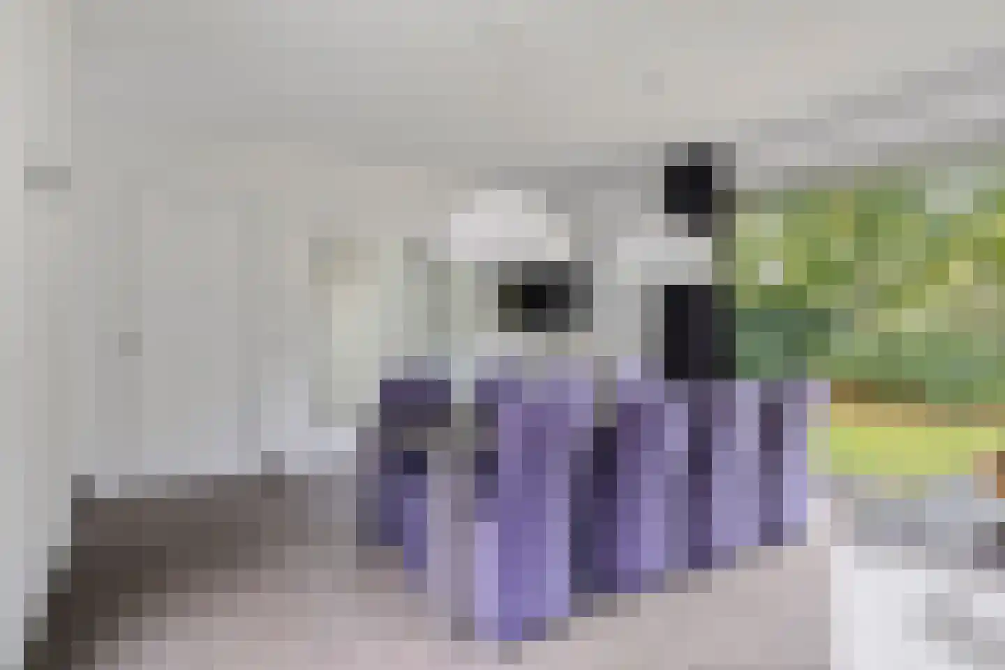 Bosfazant 18 Eindhoven thumbnail 19
