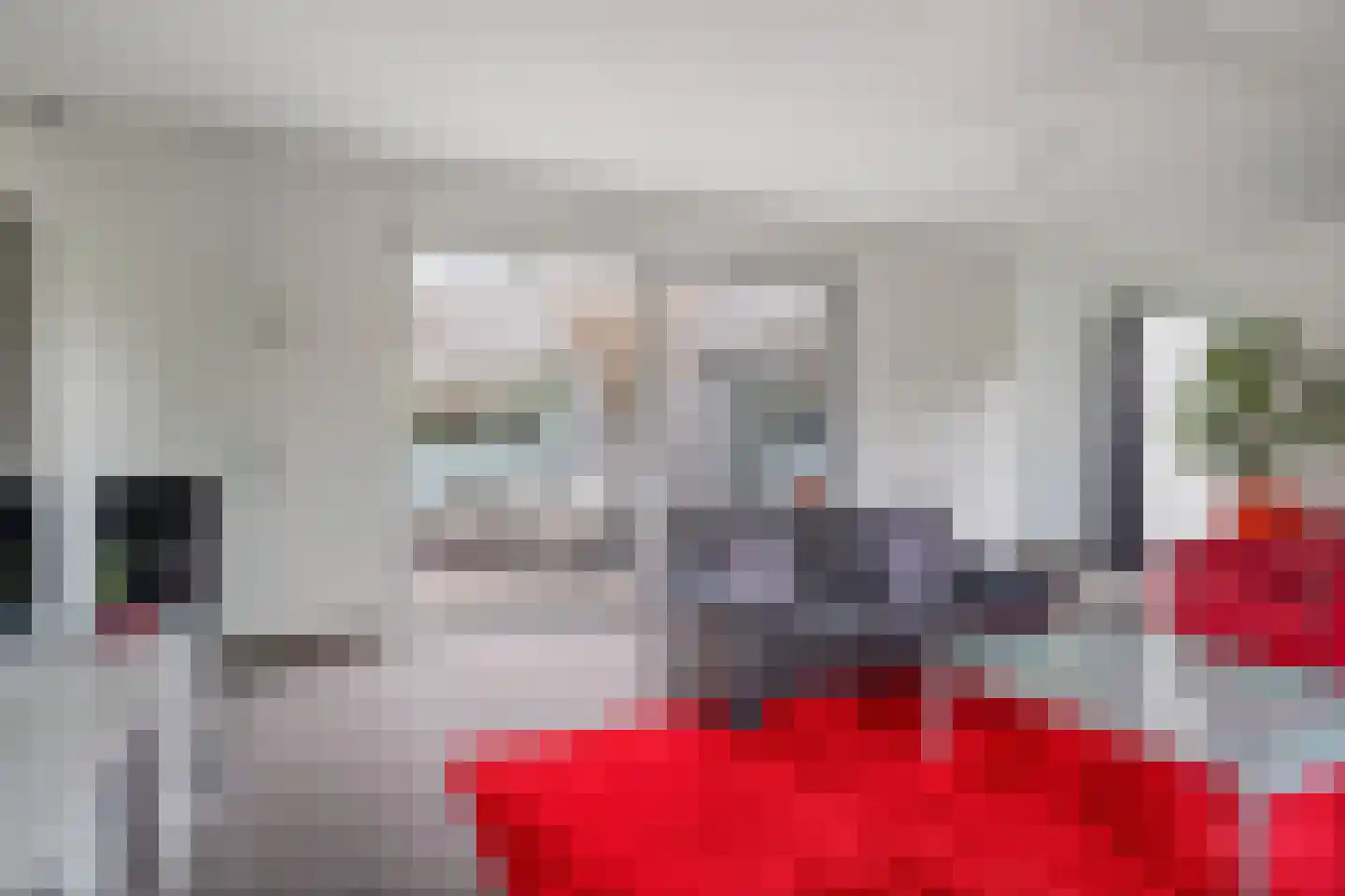Bosfazant 18 Eindhoven thumbnail 24