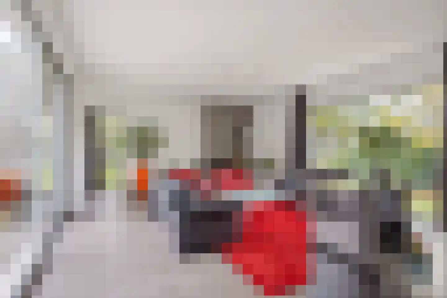 Bosfazant 18 Eindhoven thumbnail 25