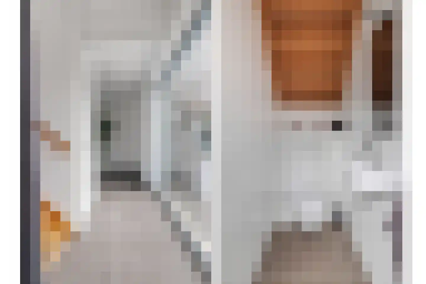 Bosfazant 18 Eindhoven thumbnail 29