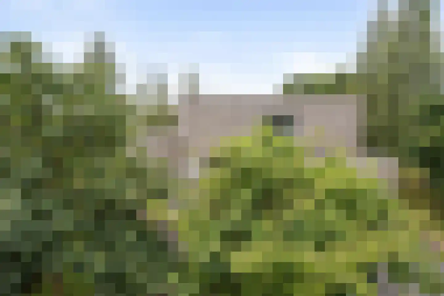 Bosfazant 18 Eindhoven thumbnail 4