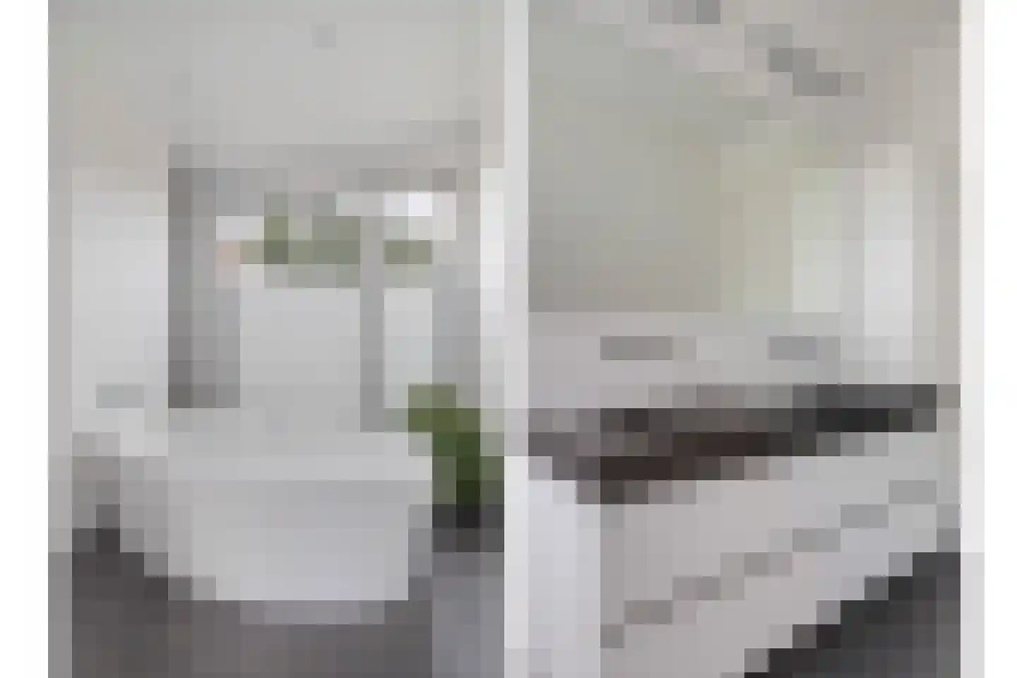 Bosfazant 18 Eindhoven thumbnail 45