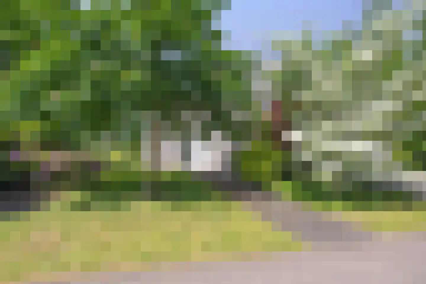 Bosfazant 18 Eindhoven thumbnail 5