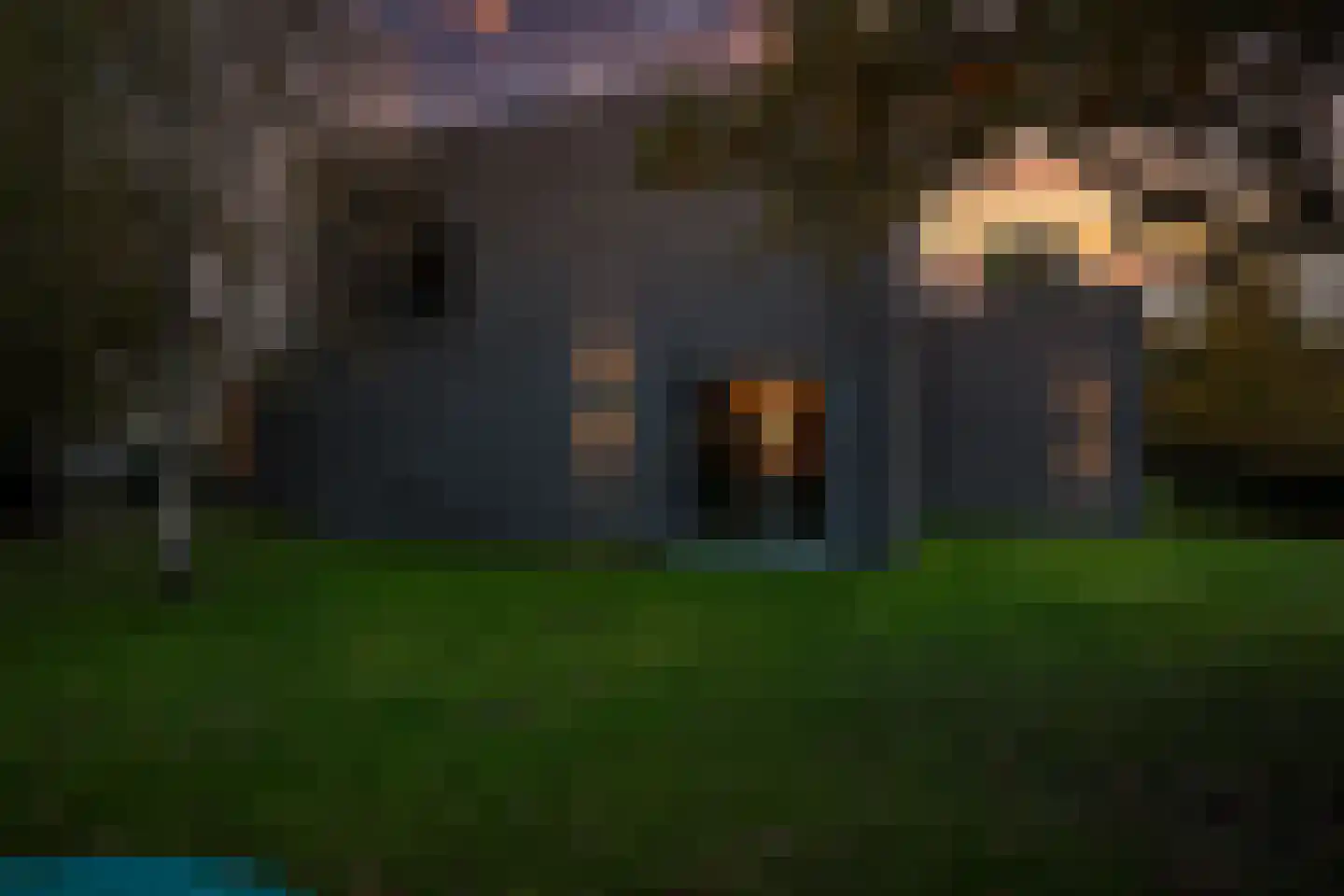 Bosfazant 18 Eindhoven thumbnail 5