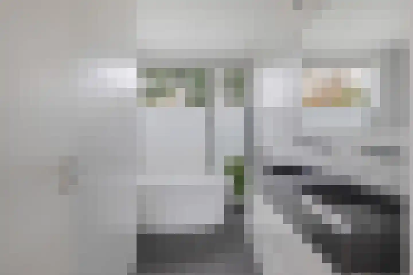 Bosfazant 18 Eindhoven thumbnail 5