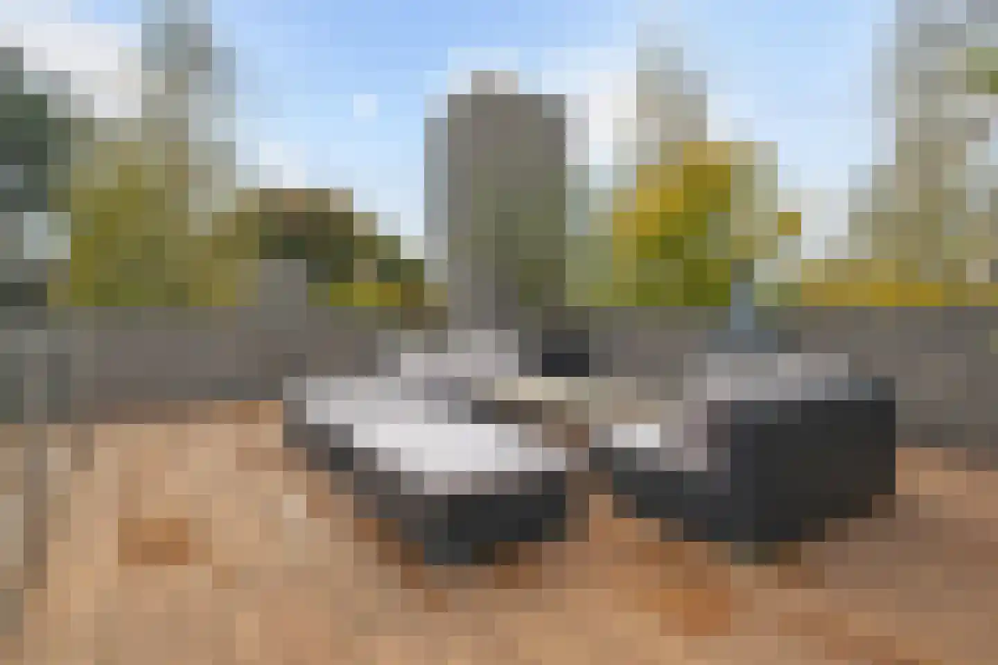 Bosfazant 18 Eindhoven thumbnail 52