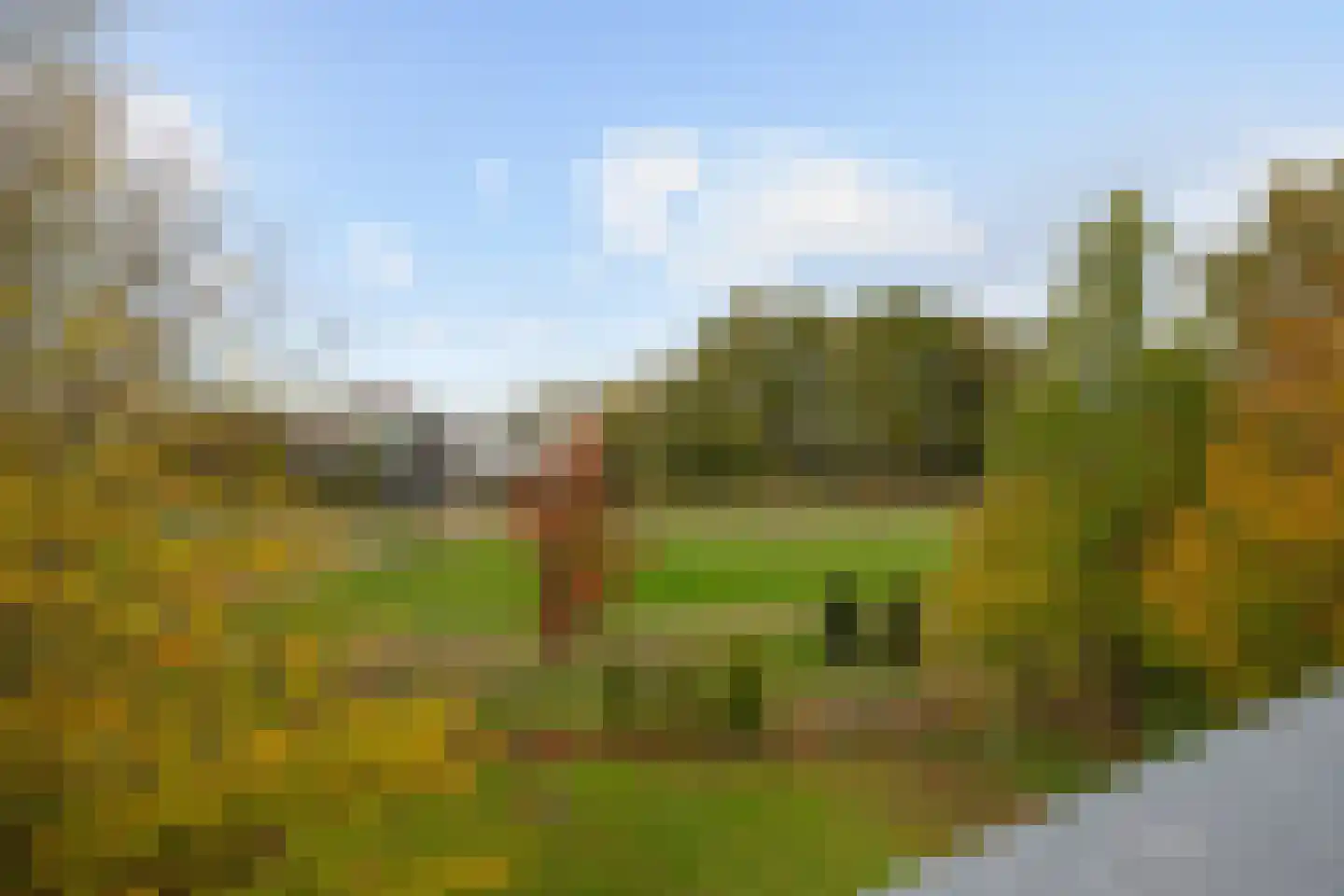 Bosfazant 18 Eindhoven thumbnail 53