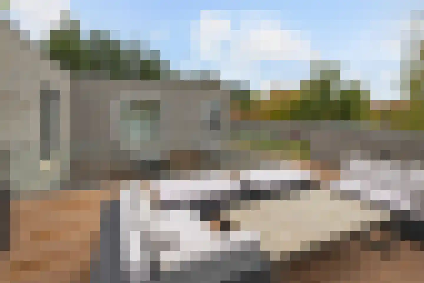 Bosfazant 18 Eindhoven thumbnail 54