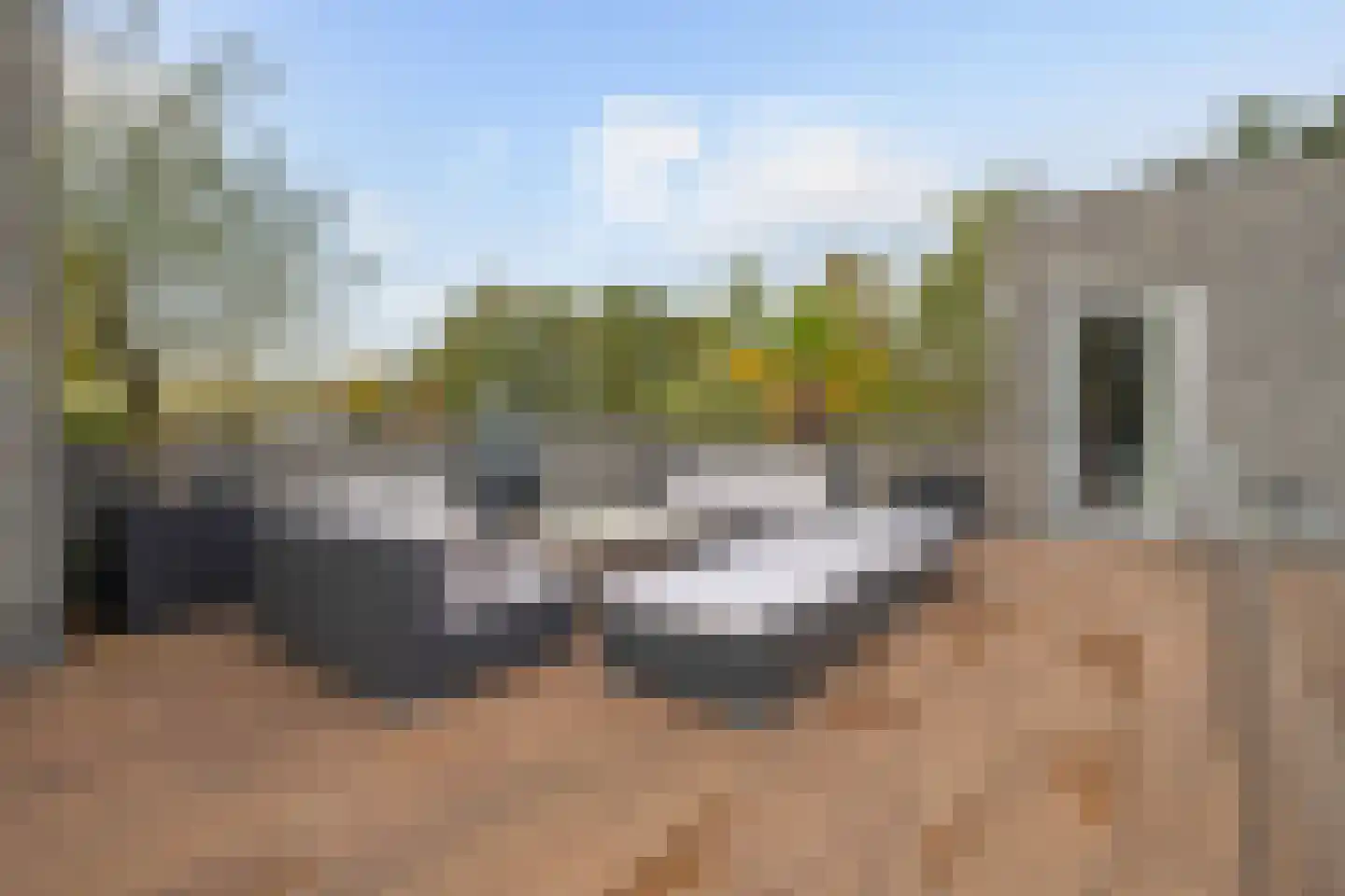 Bosfazant 18 Eindhoven thumbnail 57