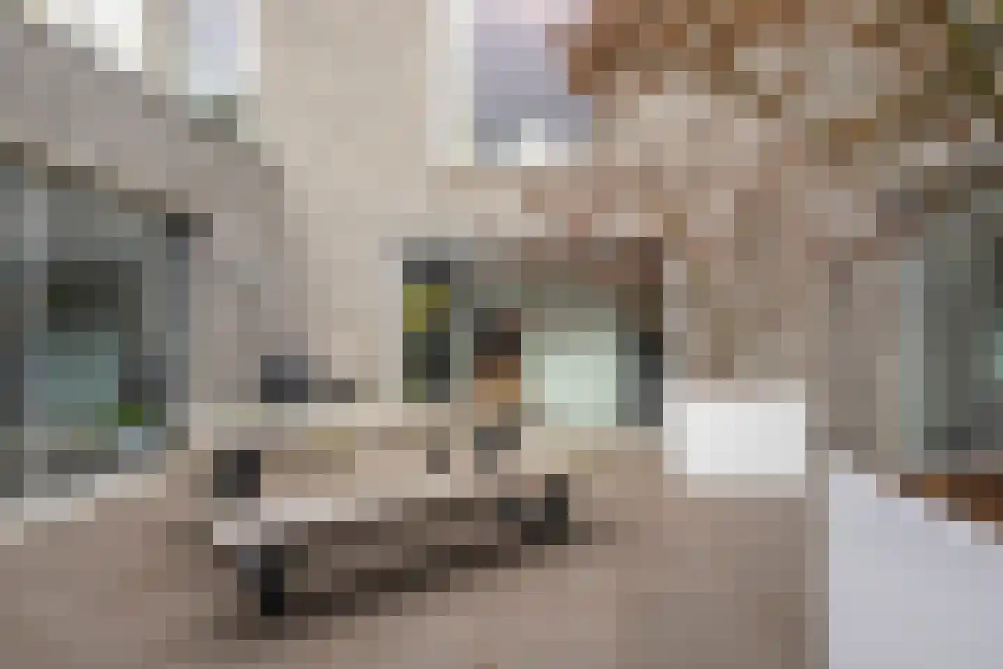 Bosfazant 18 Eindhoven thumbnail 59