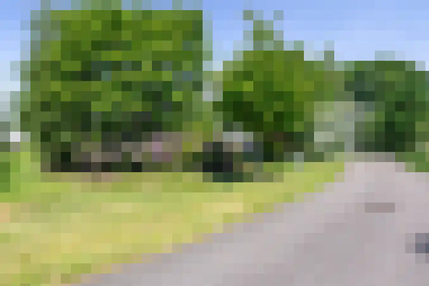 Bosfazant 18 Eindhoven thumbnail 6