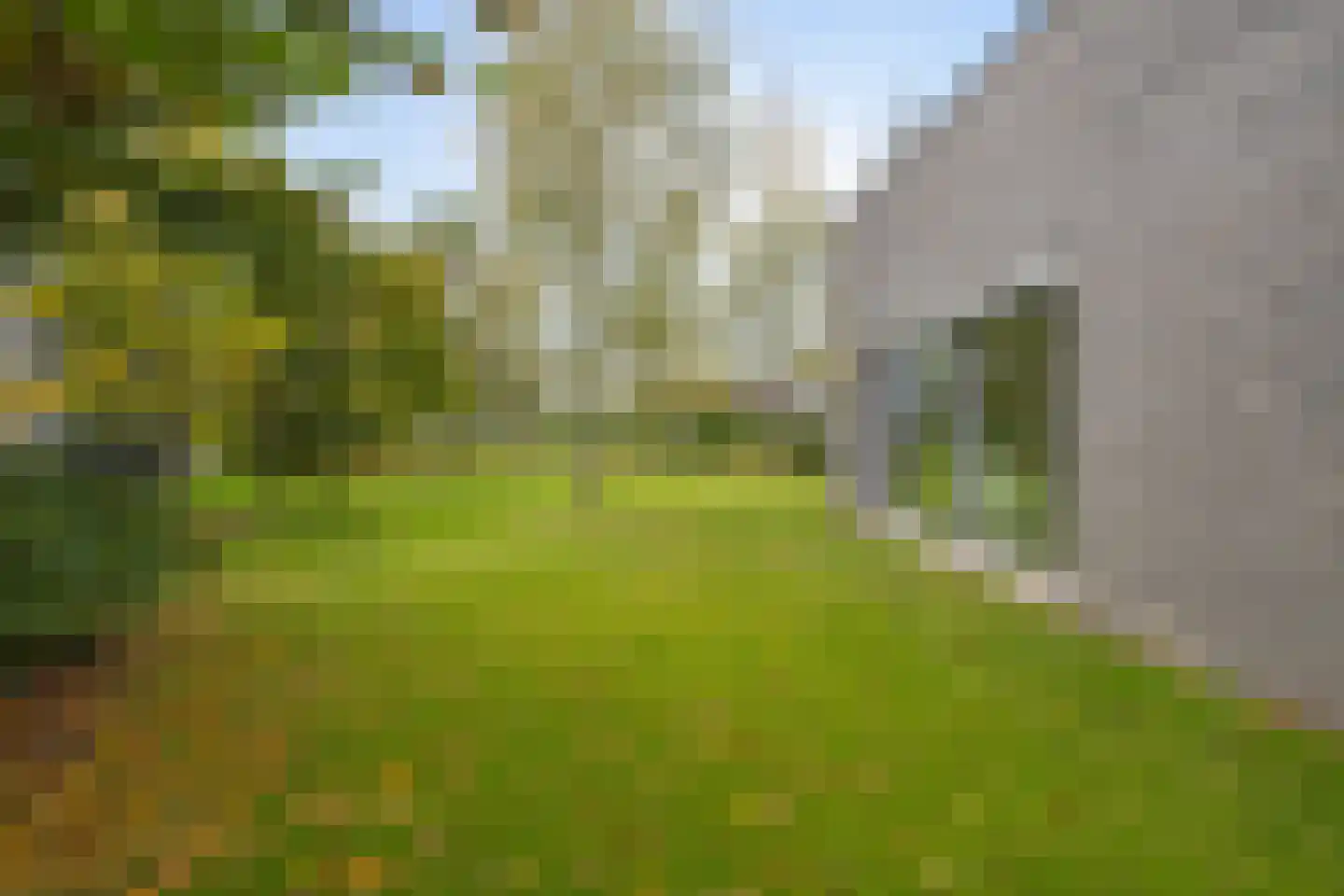 Bosfazant 18 Eindhoven thumbnail 60