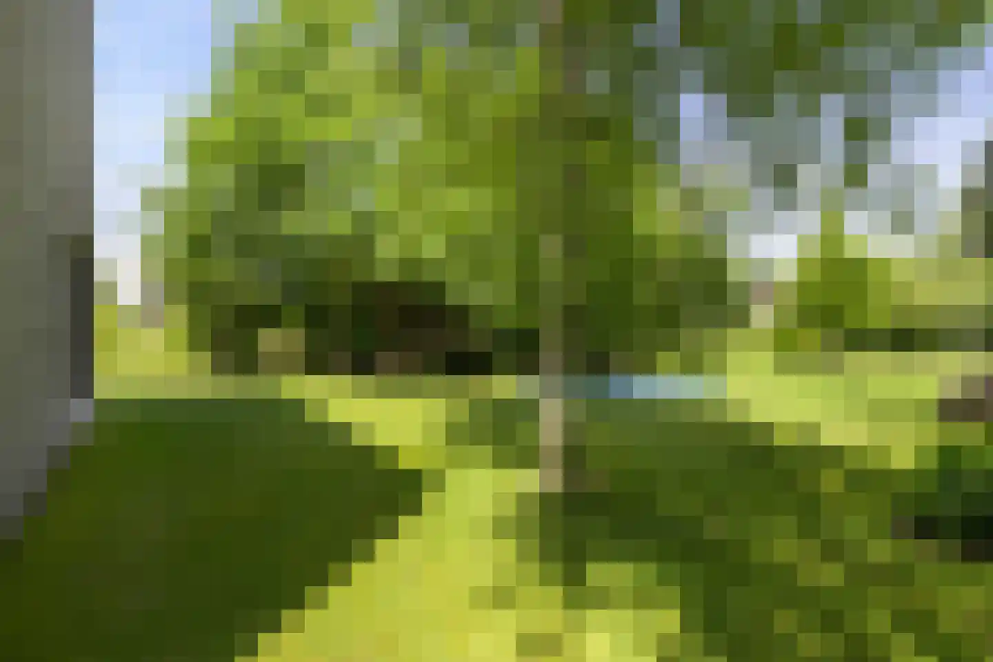 Bosfazant 18 Eindhoven thumbnail 63