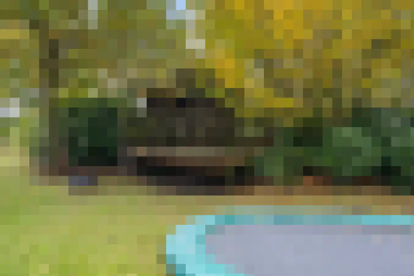 Bosfazant 18 Eindhoven thumbnail 65