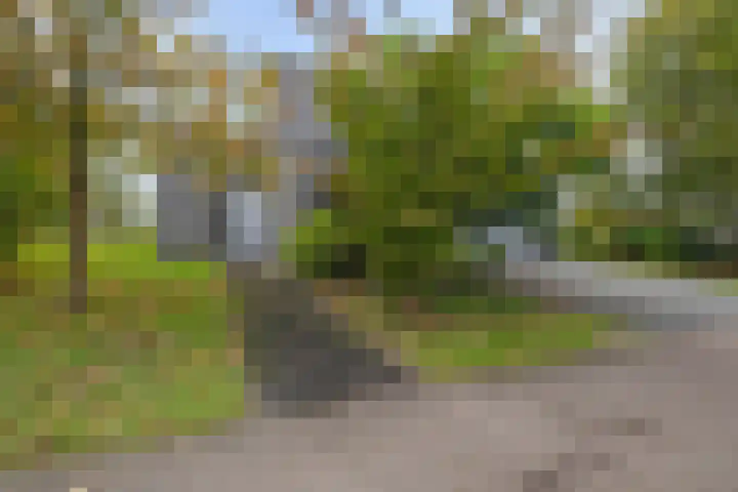Bosfazant 18 Eindhoven thumbnail 7