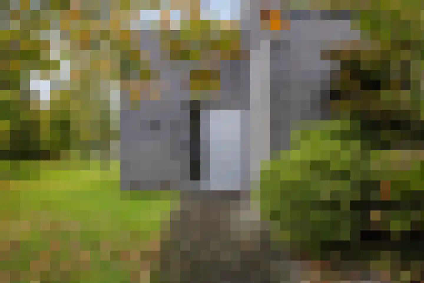 Bosfazant 18 Eindhoven thumbnail 8
