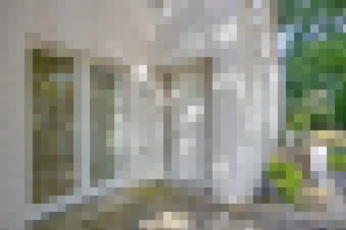 Bosfazant 31 Eindhoven thumbnail 10