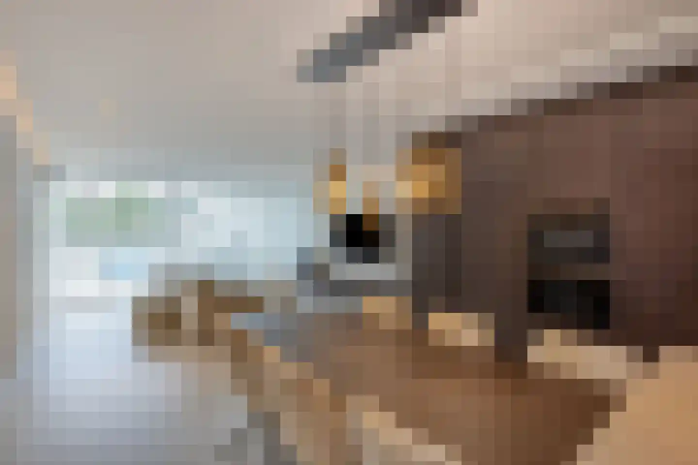 Bosfazant 31 Eindhoven thumbnail 16
