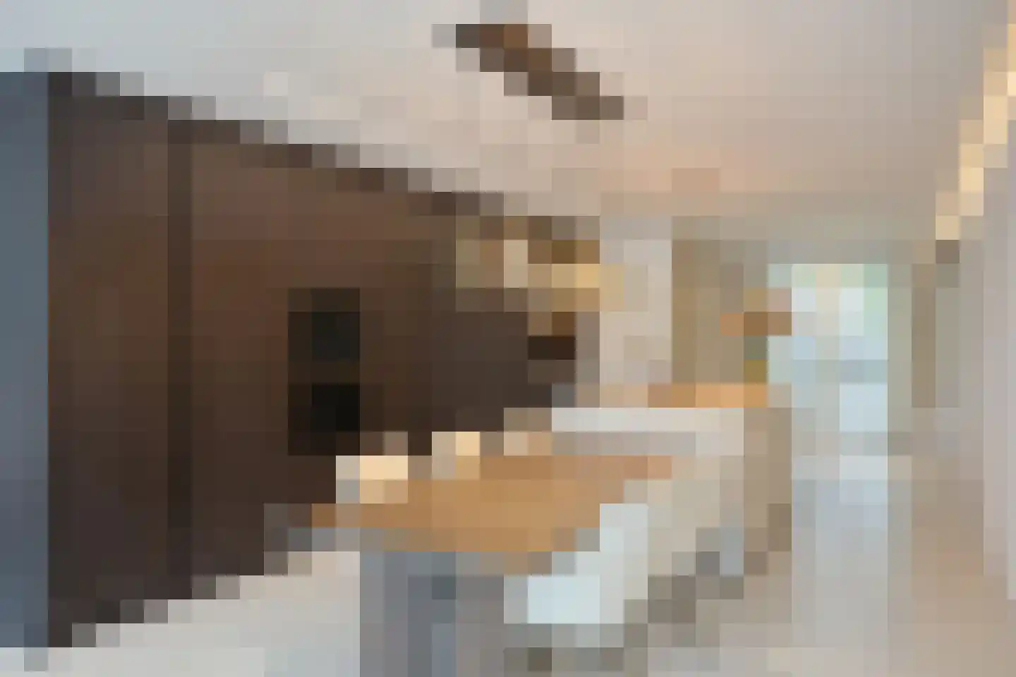 Bosfazant 31 Eindhoven thumbnail 17