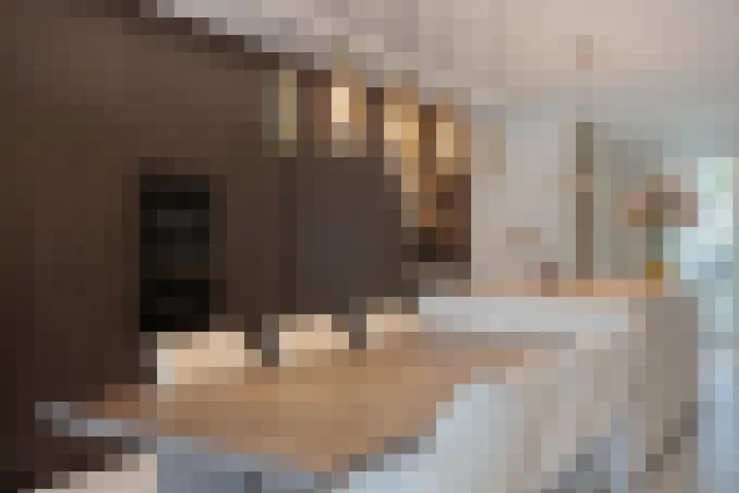 Bosfazant 31 Eindhoven thumbnail 19