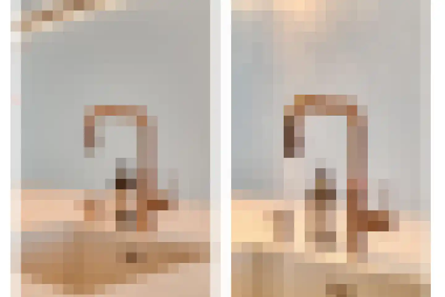 Bosfazant 31 Eindhoven thumbnail 21