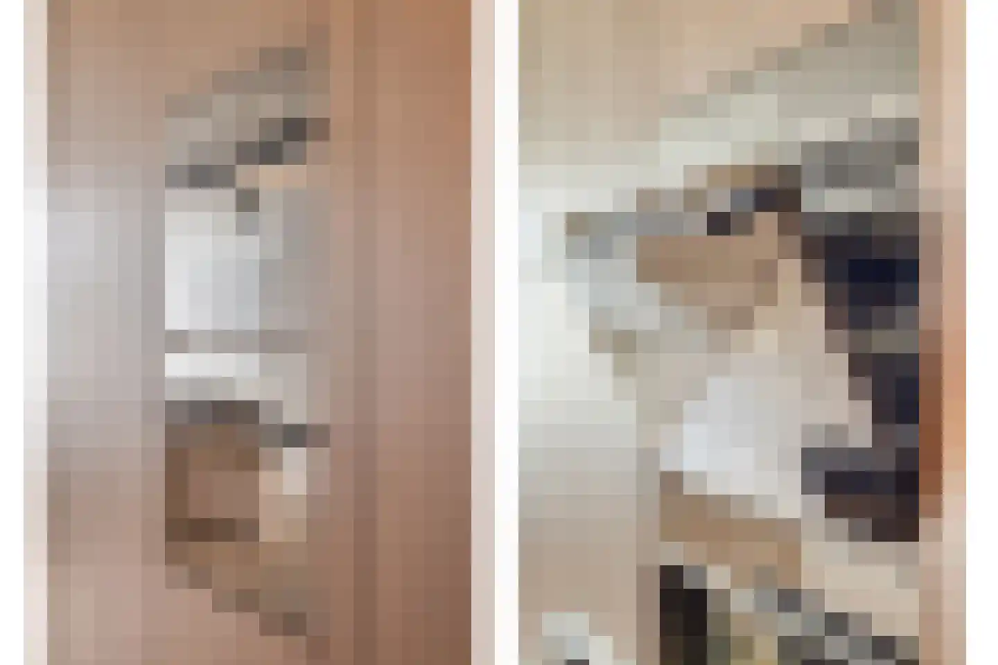 Bosfazant 31 Eindhoven thumbnail 23