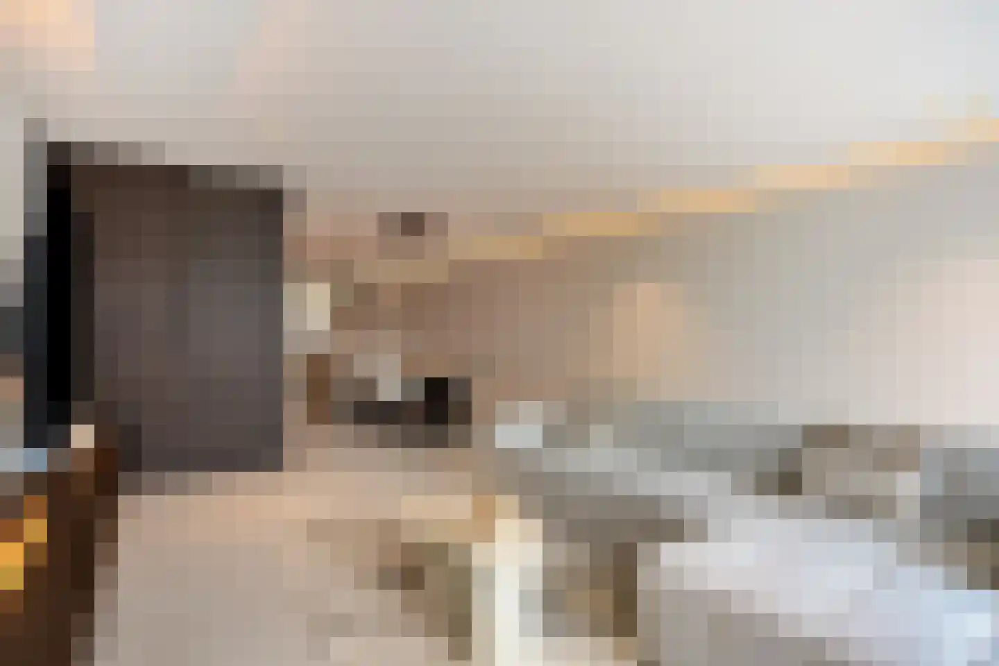 Bosfazant 31 Eindhoven thumbnail 29