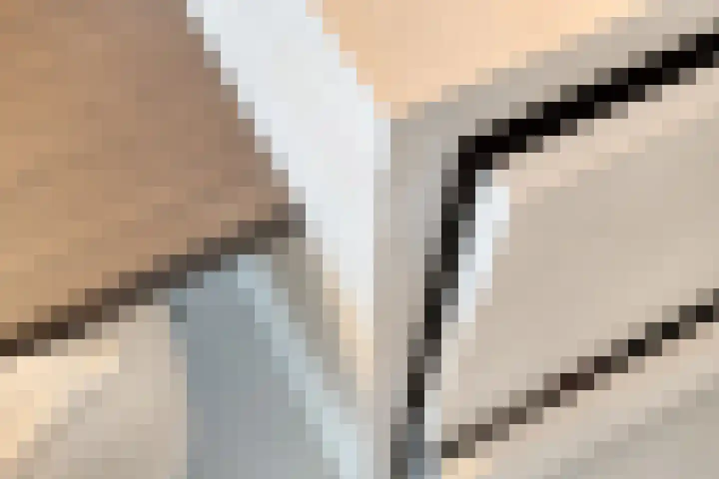 Bosfazant 31 Eindhoven thumbnail 33