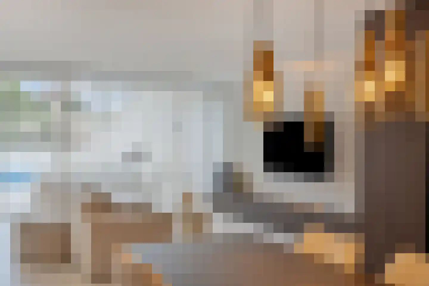 Bosfazant 31 Eindhoven thumbnail 4