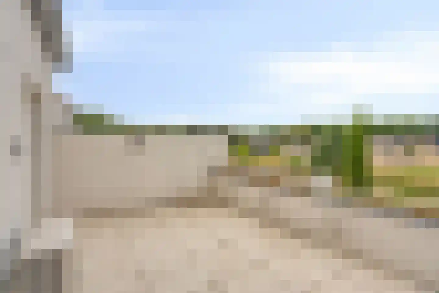 Bosfazant 31 Eindhoven thumbnail 41