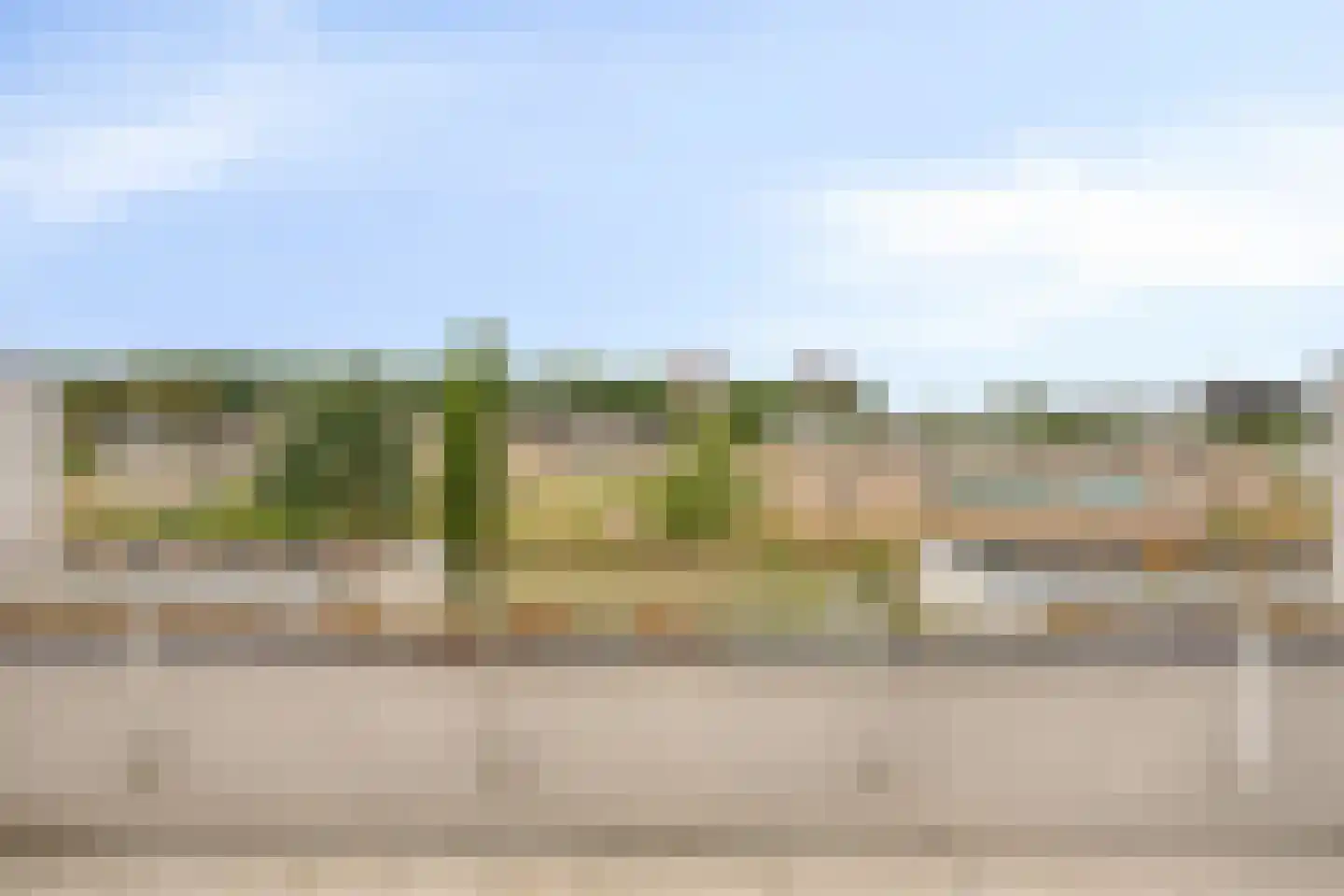 Bosfazant 31 Eindhoven thumbnail 42