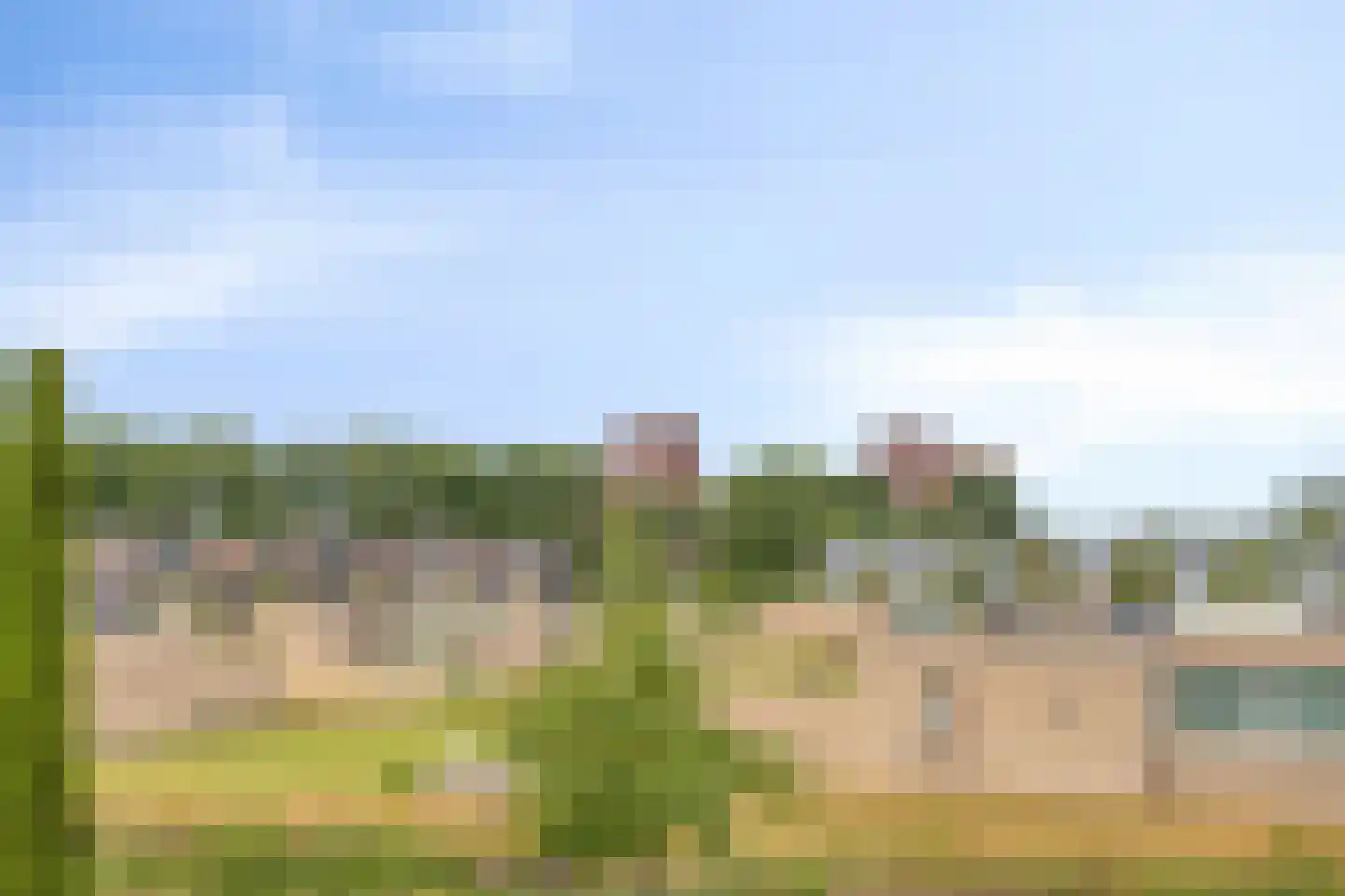 Bosfazant 31 Eindhoven thumbnail 44