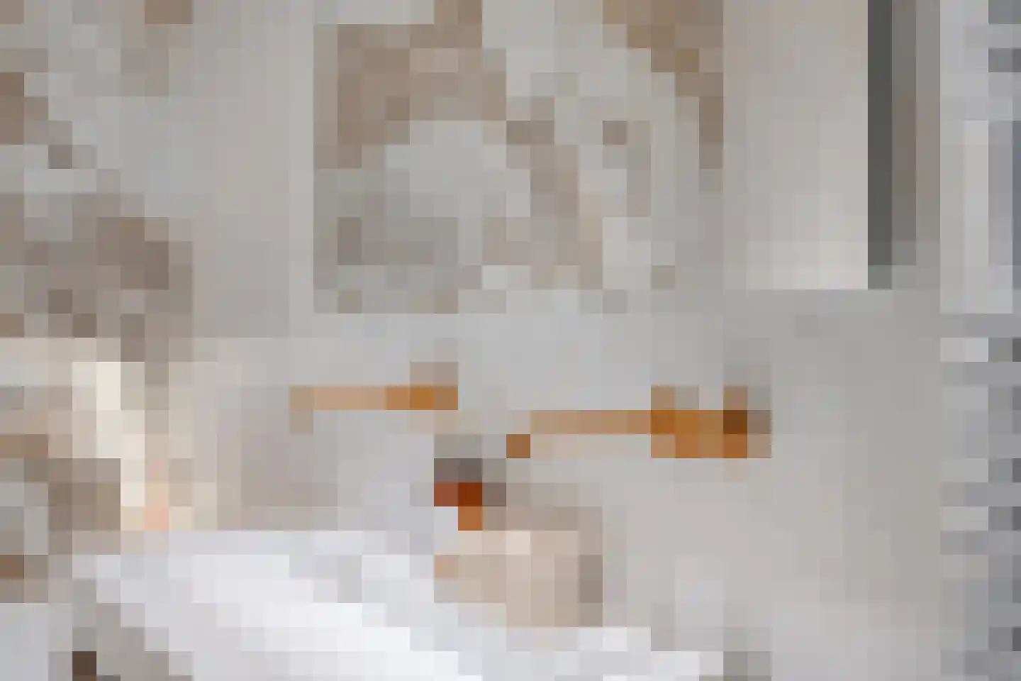 Bosfazant 31 Eindhoven thumbnail 45
