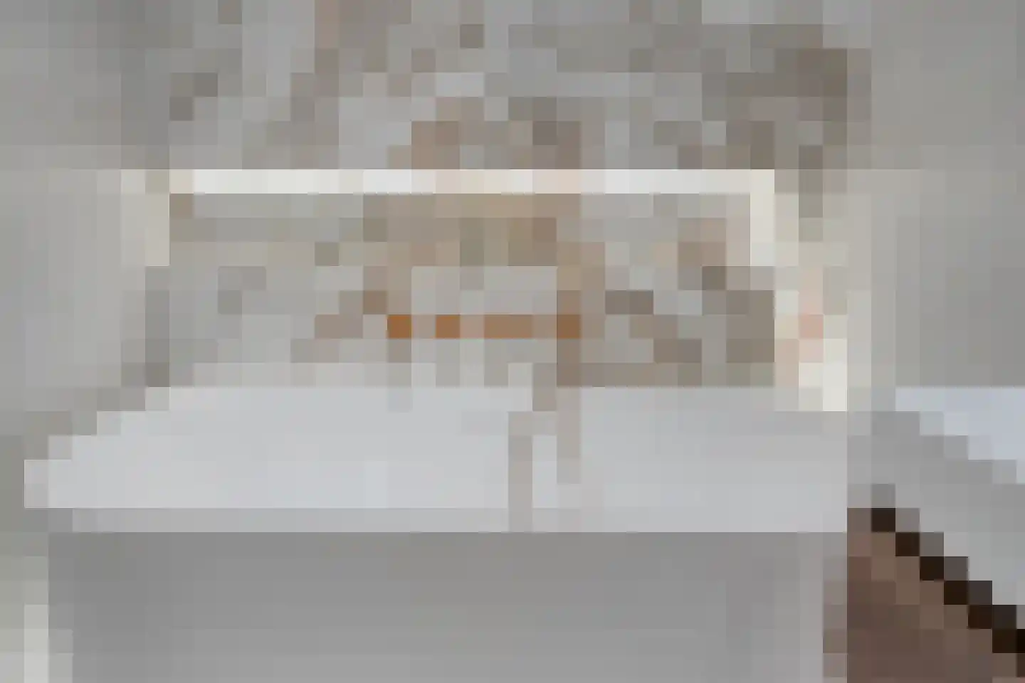 Bosfazant 31 Eindhoven thumbnail 46