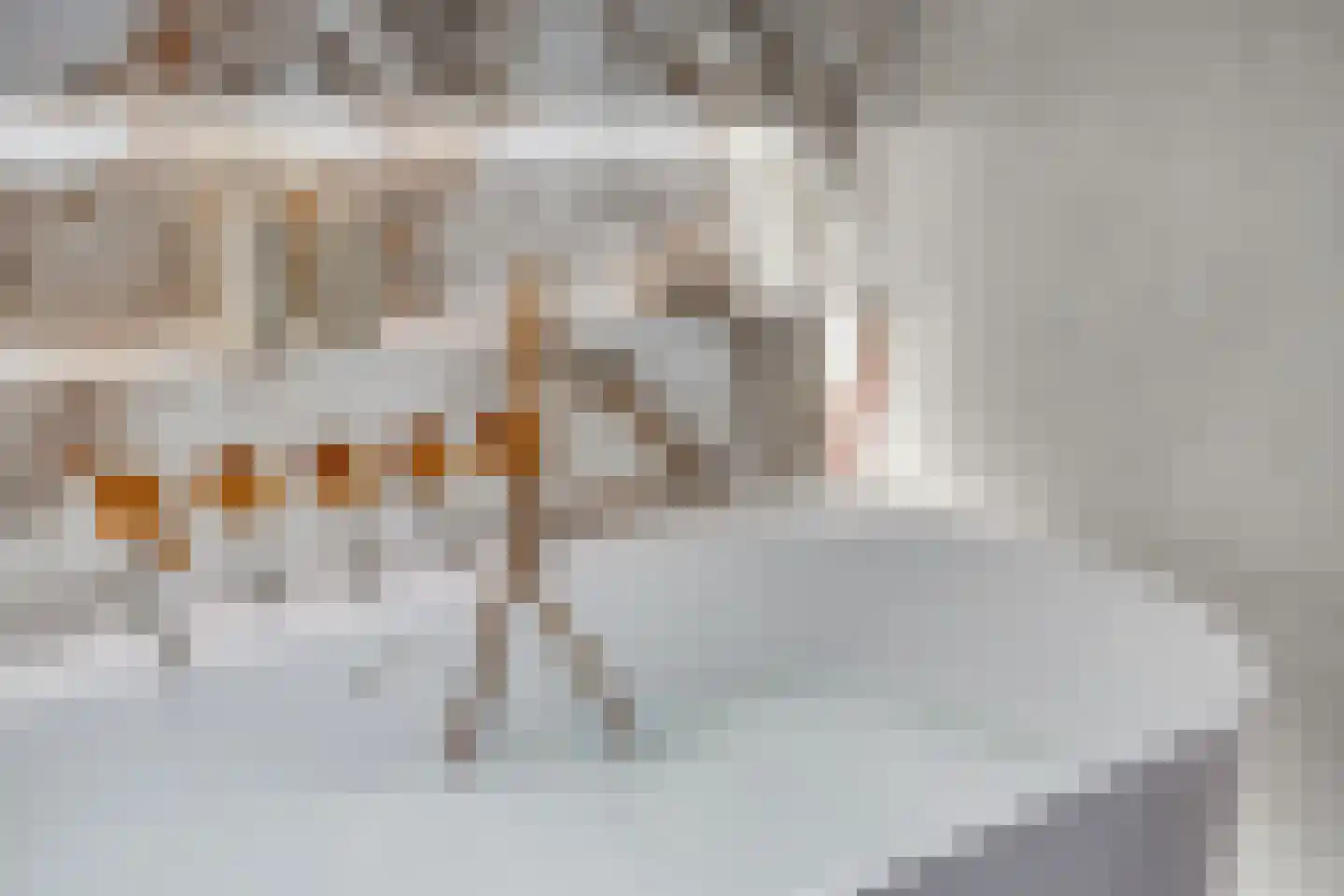 Bosfazant 31 Eindhoven thumbnail 50