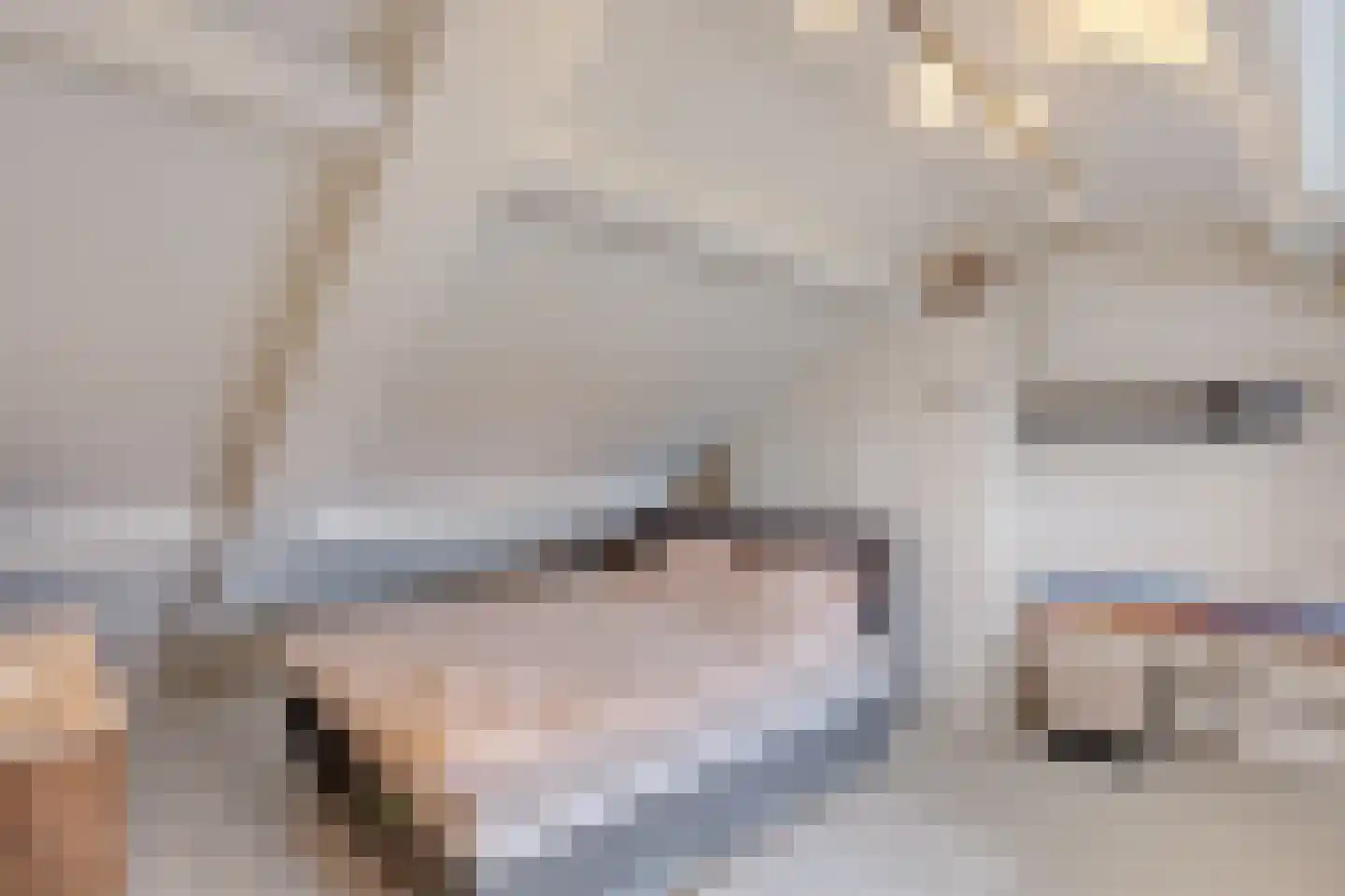 Bosfazant 31 Eindhoven thumbnail 54