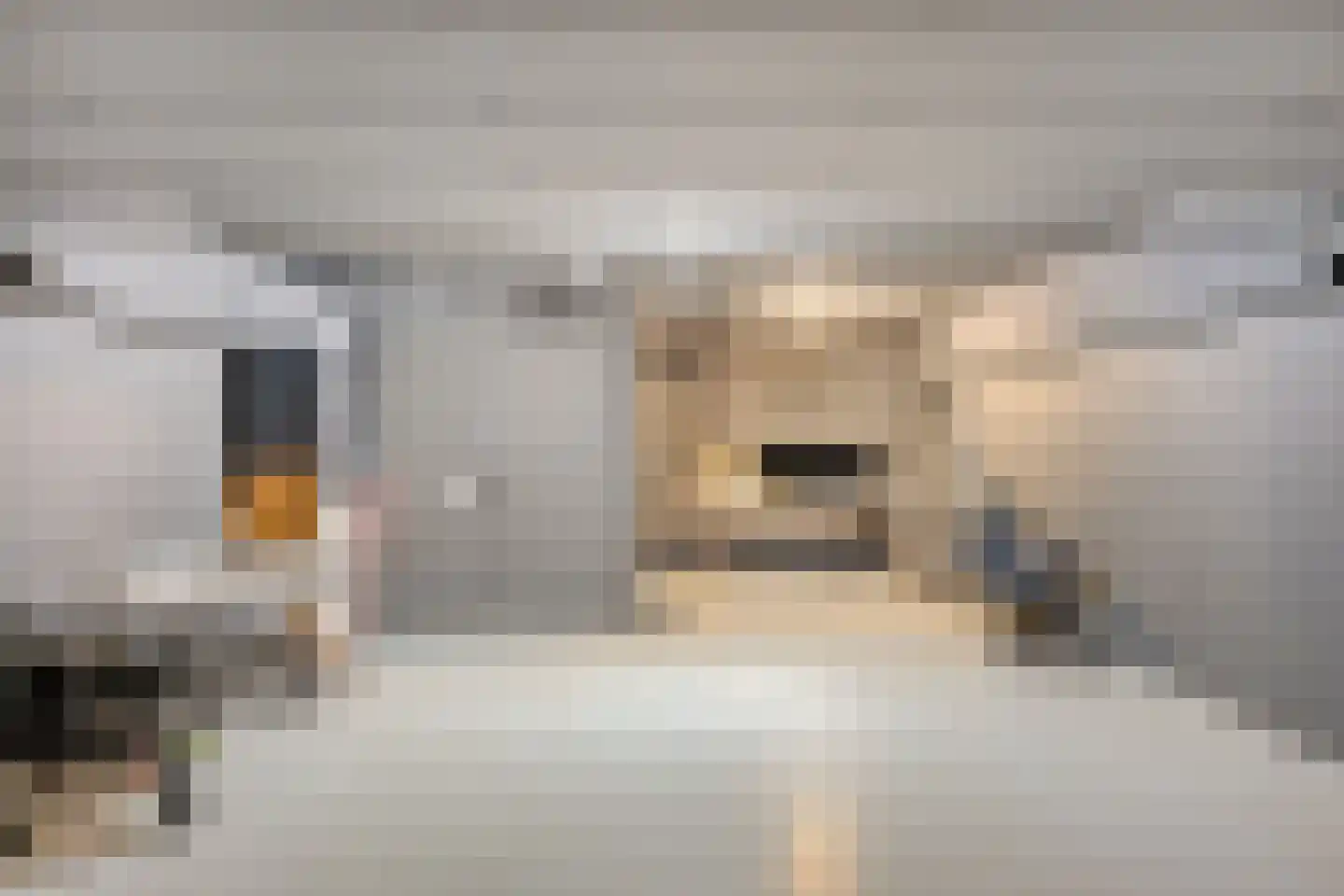 Bosfazant 31 Eindhoven thumbnail 57