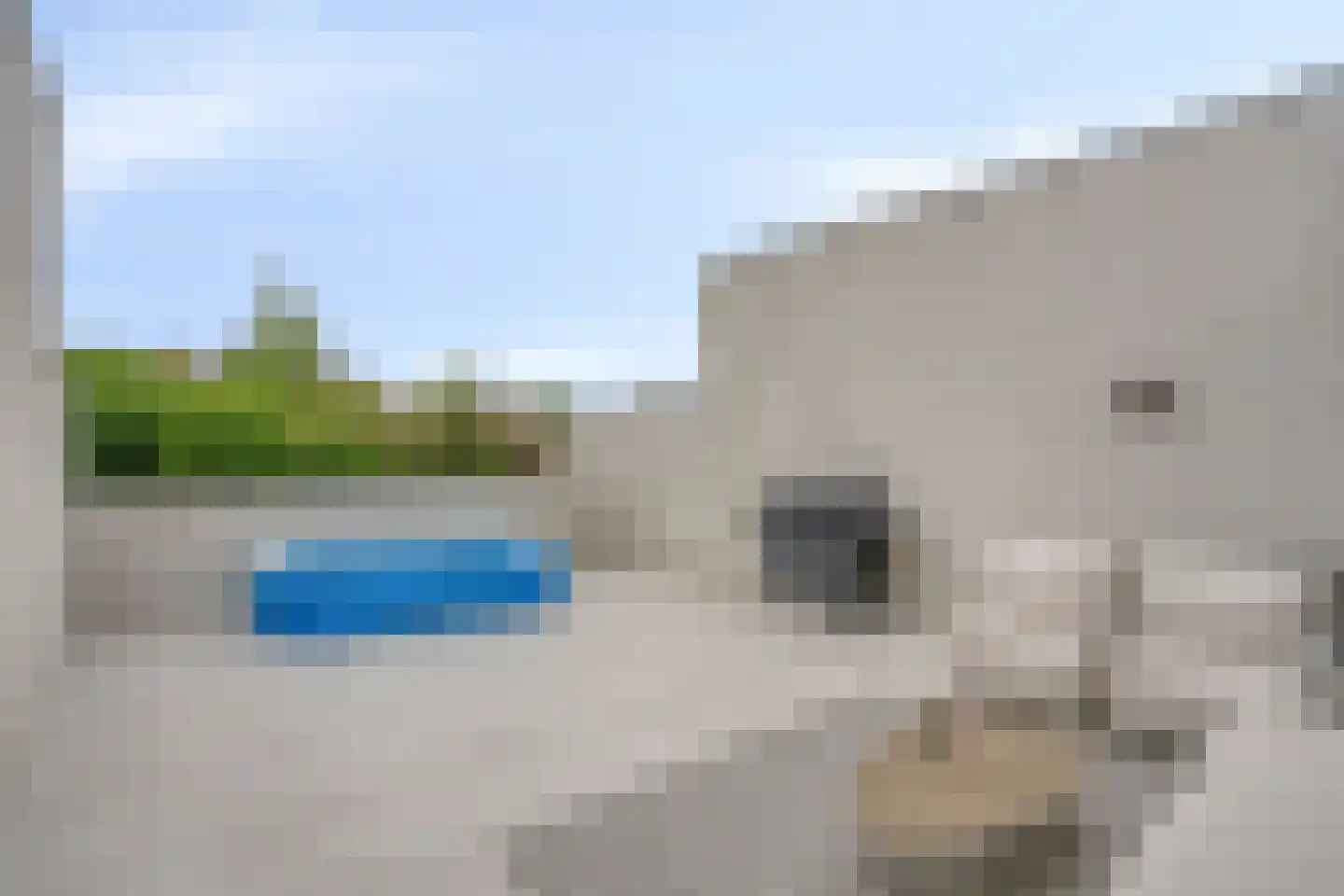 Bosfazant 31 Eindhoven thumbnail 60
