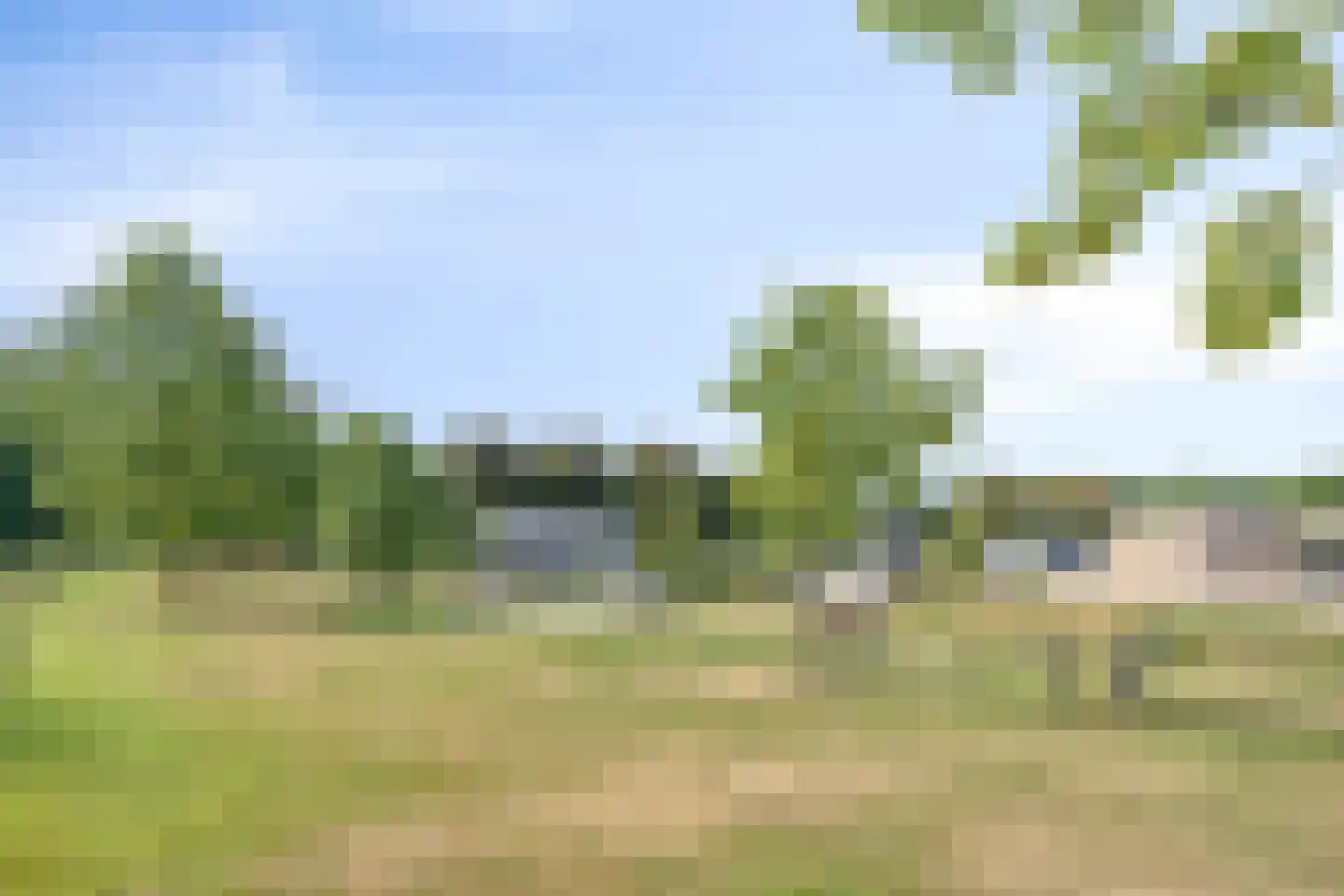 Bosfazant 31 Eindhoven thumbnail 65
