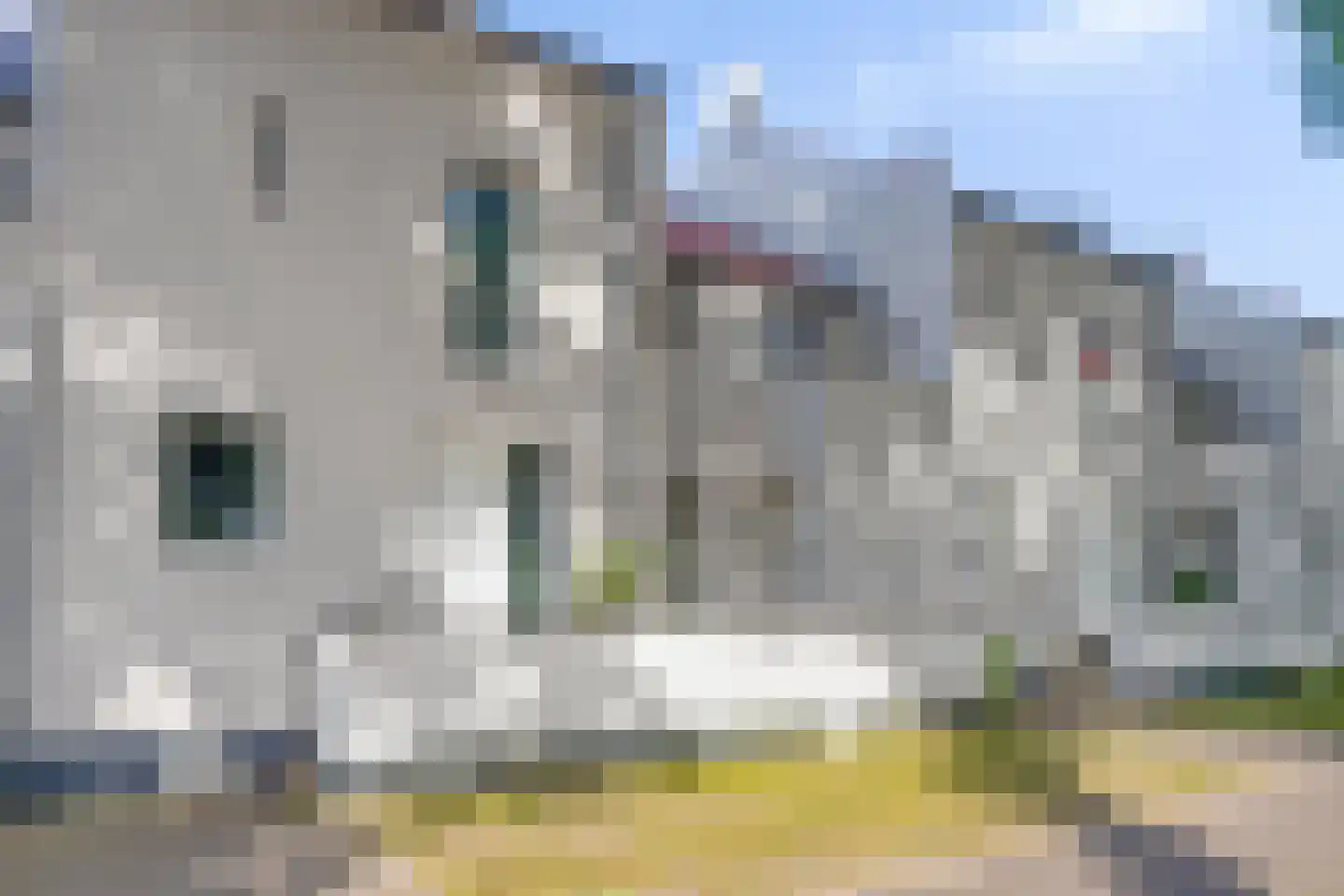 Bosfazant 31 Eindhoven thumbnail 9