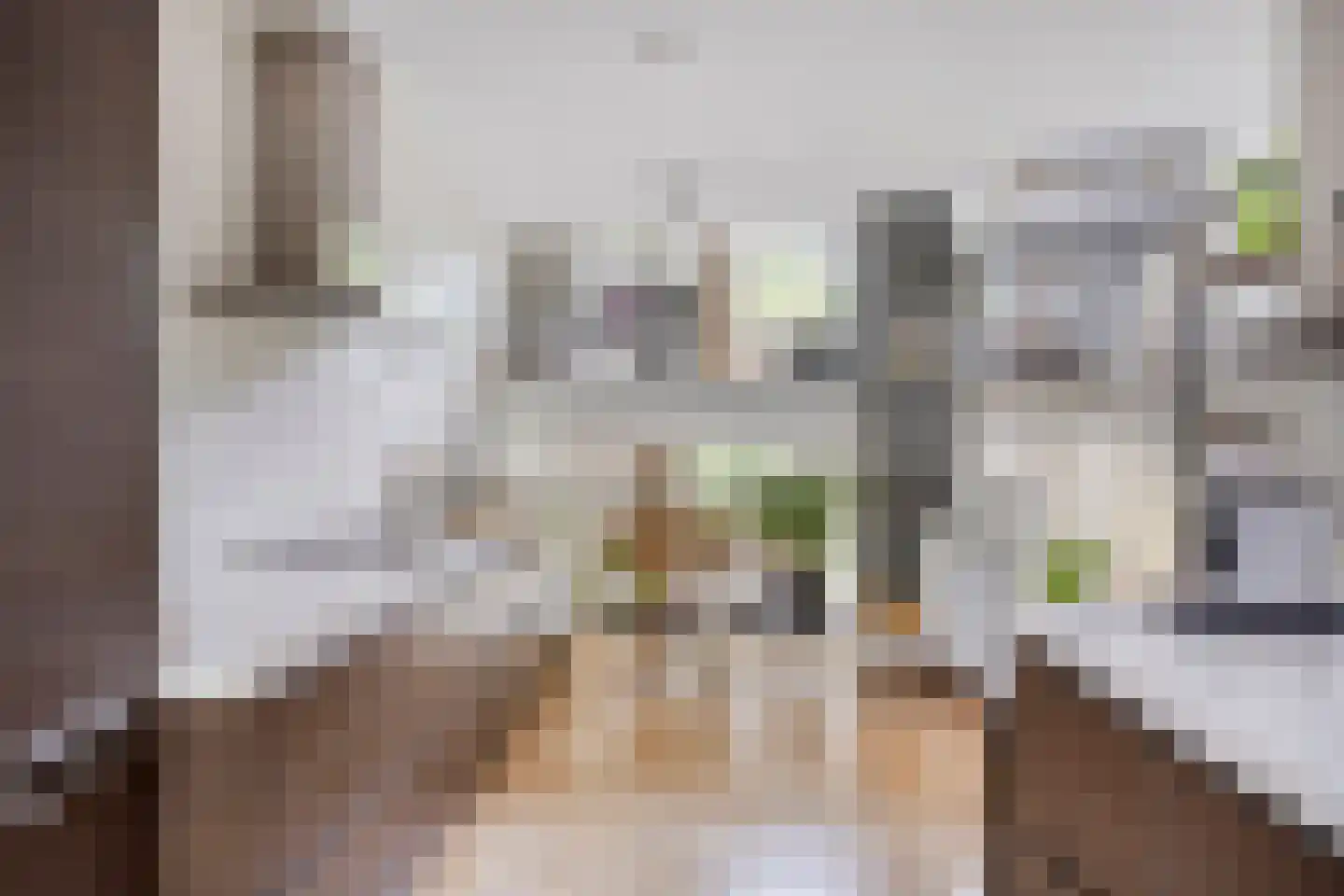 Bosgaai 36 Eindhoven thumbnail 11