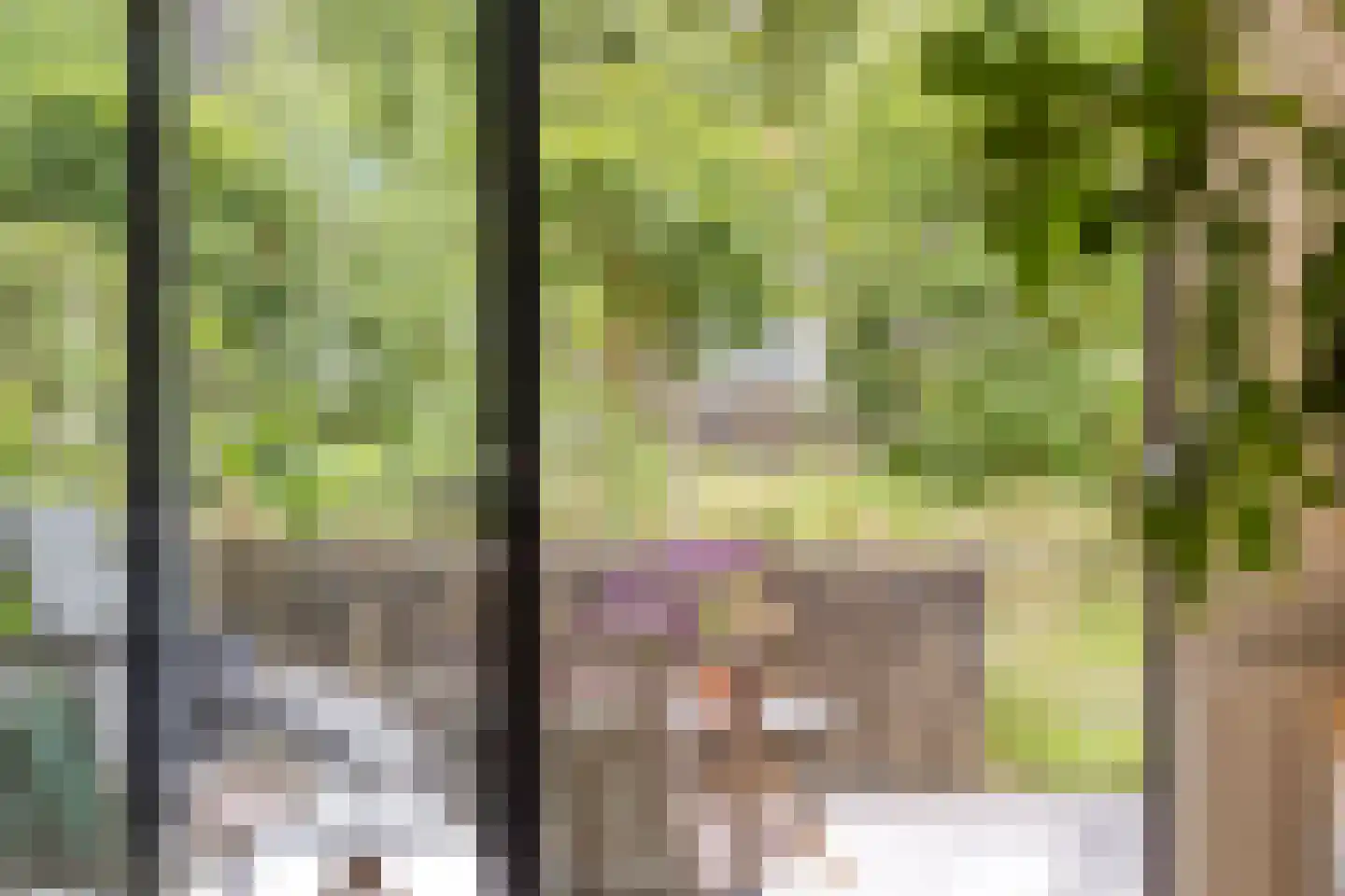 Bosgaai 36 Eindhoven thumbnail 15
